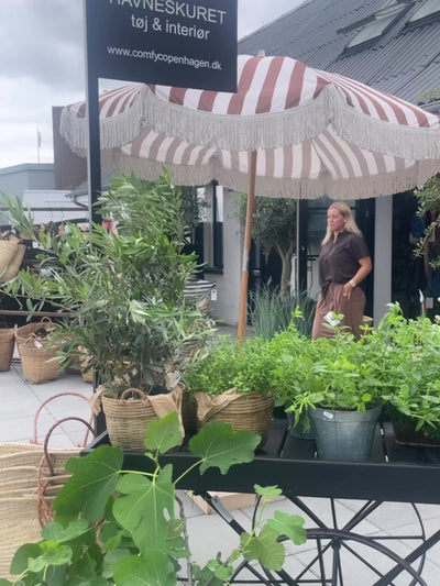 havneskuret_front_butik